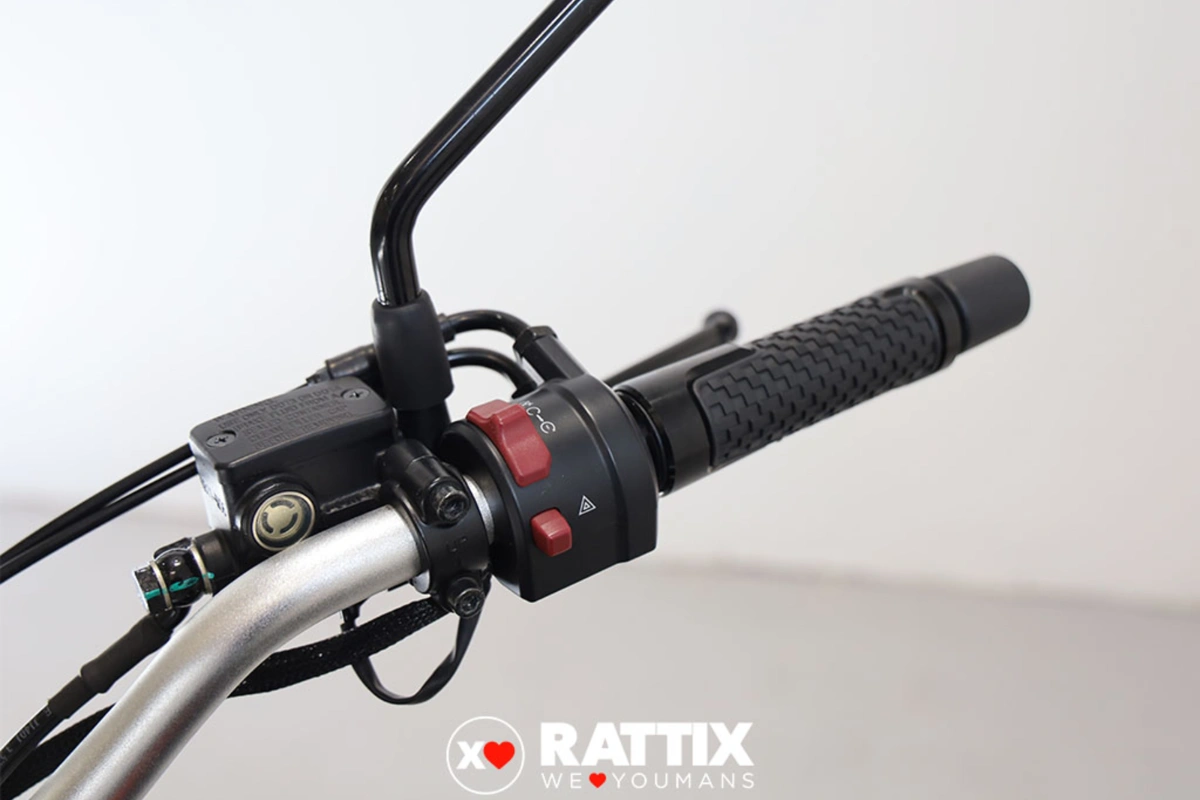 CF MOTO 300 CL X Heritage Abs