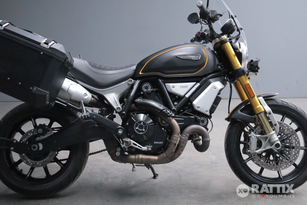 DUCATI Scrambler 1100 1100
