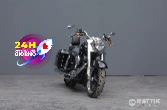 HARLEY DAVIDSON Dyna 1690 Switchback Switchback